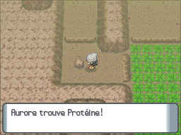 Route 227 Protéine DP.png