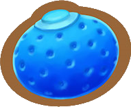Baie Oran-PMDM.png