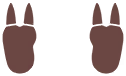 Empreintes 0126 DEPS.png