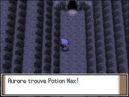 Mont Couronné Potion Max 2 Pt.png