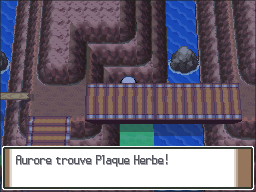 Route 210 Plaque Herbe Pt.png