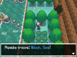Route 6 Mouch. Soie NB.png