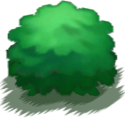 Buisson XY.png