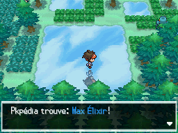 Fichier:Forêt d'Empoigne Max Élixir N2B2.png