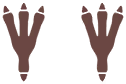 Empreintes 0250 DEPS.png