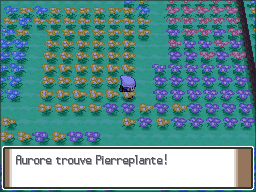 Pré Floraville Pierreplante Pt.png