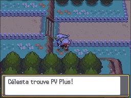 Route 38 PV Plus HGSS.png
