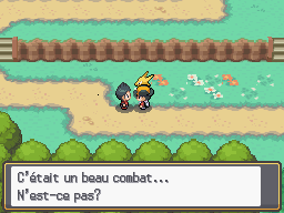 Route 1 Topdresseur M HGSS.png