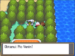 Route 32 Pic Venin HGSS.png