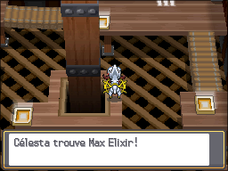 Tour Carillon Max Elixir HGSS.png