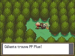Mauville PP Plus HGSS.png