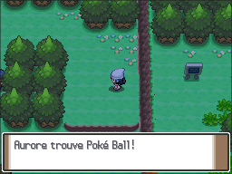 Route 203 Poké Ball Pt.png