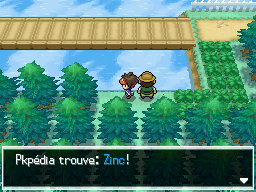 Fichier:Route 3 Zinc N2B2.png