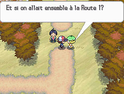 Renouet vers la Route 1-NB.png