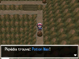 Route Victoire Potion Max NB.png