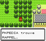 Route 2 Rappel C.png