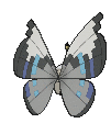 Fichier:Sprite 0666 Cyclone chromatique dos XY.png