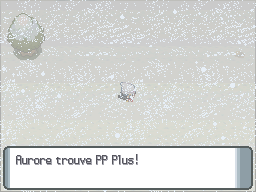 Route 217 PP Plus DP.png