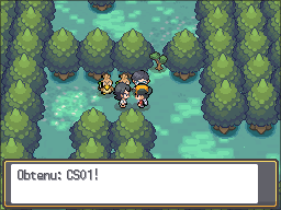 Bois aux Chênes CS01 HGSS.png