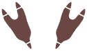 Empreintes 0065 DEPS.png