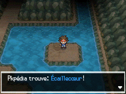 Grotte Littorale Écaillecœur N2B2.png