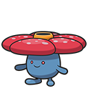 Rafflesia