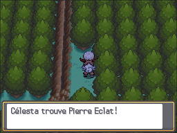 Parc Naturel Pierre Eclat HGSS.png