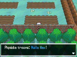 Parsemille Huile Max NB.png