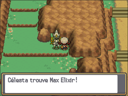 Route 26 Max Elixir HGSS.png