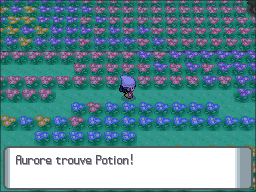 Pré Floraville Potion DP.png