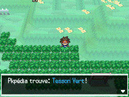 Fichier:Route 12 Tesson Vert N2B2.png