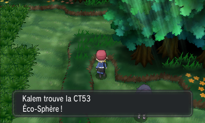 Fichier:Route 20 CT53 XY.png