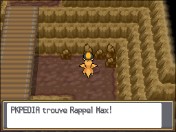 Cave Taupiqueur Rappel Max HGSS.png