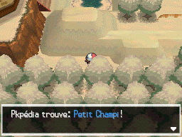 Flocombe Petit Champi 2 NB.png