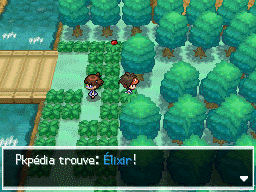 Fichier:Route 6 Élixir N2B2.png