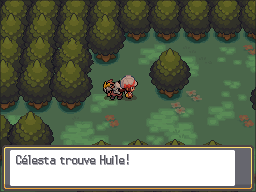Bois aux Chênes Huile 2 HGSS.png