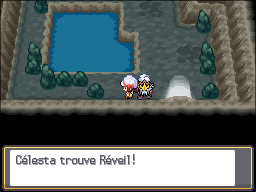 Caves Jumelles Réveil HGSS.png