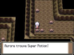 Grotte Revêche Super Potion Pt.png