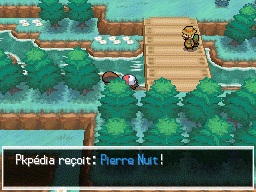 Route 10 Pierre Nuit NB.png