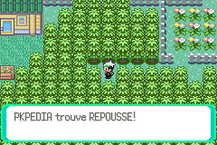 Route 117 Repousse E.png