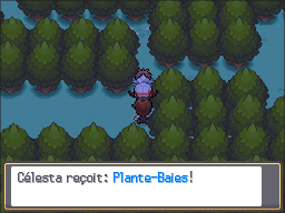 Route 36 Plante-Baies HGSS.png