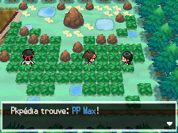 Fichier:Forêt d'Empoigne PP Max 1 N2B2.png