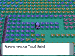 Pré Floraville Total Soin DP.png
