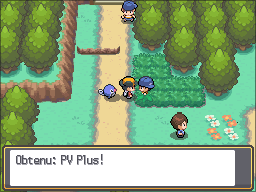 Route 30 PV Plus HGSS.png