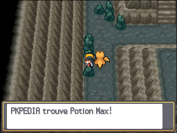Route Victoire Potion Max HGSS.png