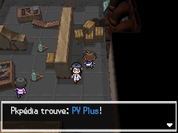 Fichier:Vestiges du Rêve PV Plus N2B2.png