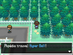 Fichier:Forêt d'Empoigne Hyper Ball 1 N2B2.png