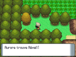 Route 213 Réveil DP.png