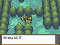 Bois aux Chênes Canarticho 3.png