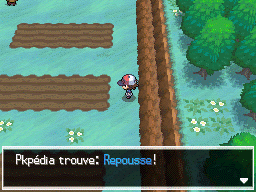 Parsemille Repousse NB.png